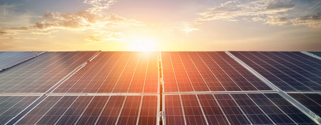 再エネ開発のリスク管理に見る日本の特異性