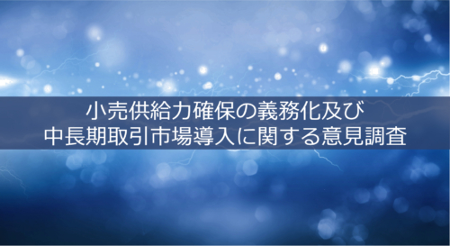 小売供給力確保の義務化及び中長期取引市場導入に関する意見調査